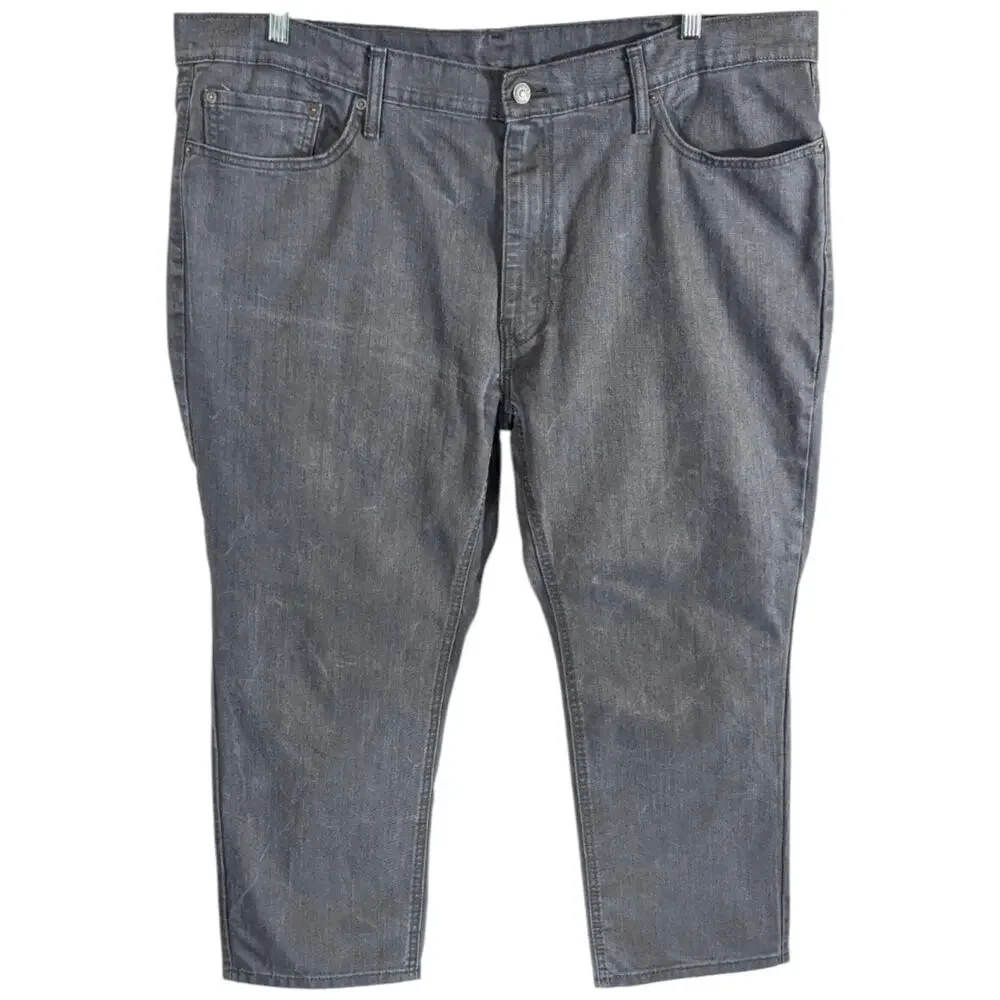 Levis levis 541